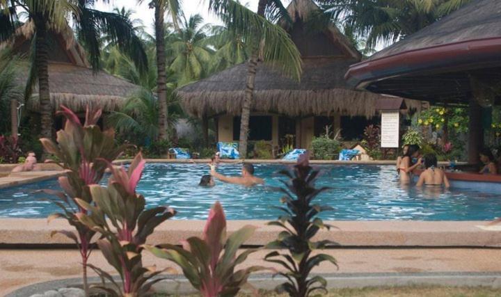 Aqua-Landia Resort Dauin Eksteriør billede